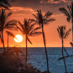 Image of honolulu with a sunset