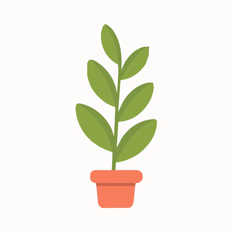 illustraition of a plant