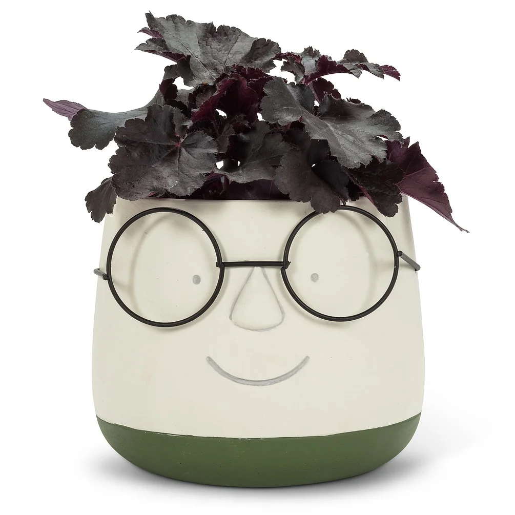 Image of potted plant with glasses